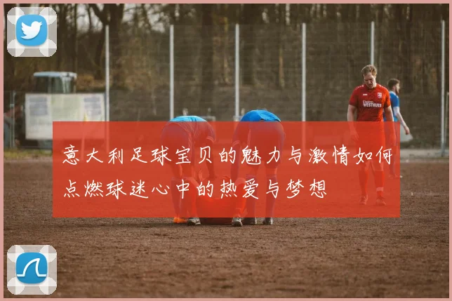 意大利足球宝贝的魅力与激情如何点燃球迷心中的热爱与梦想