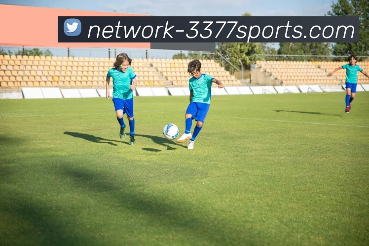 3377体育APP 封面图